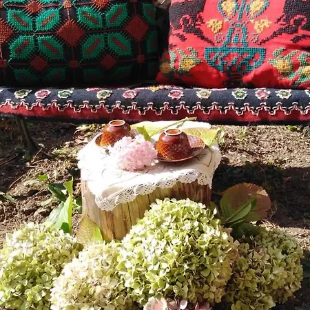 ορεινος παραδεισος Στεμνίτσα