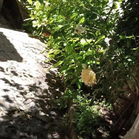 ορεινος παραδεισος Διαμέρισμα Στεμνίτσα