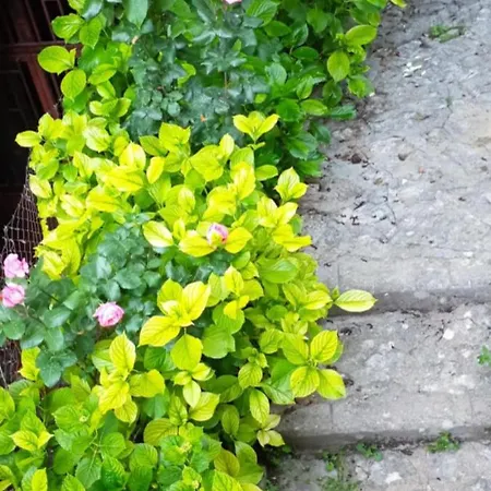 ορεινος παραδεισος Διαμέρισμα *