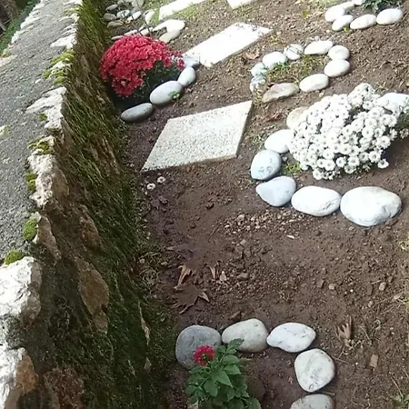 Διαμέρισμα ορεινος παραδεισος *