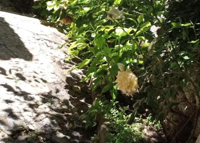 ορεινος παραδεισος Lejlighed Stemnitsa