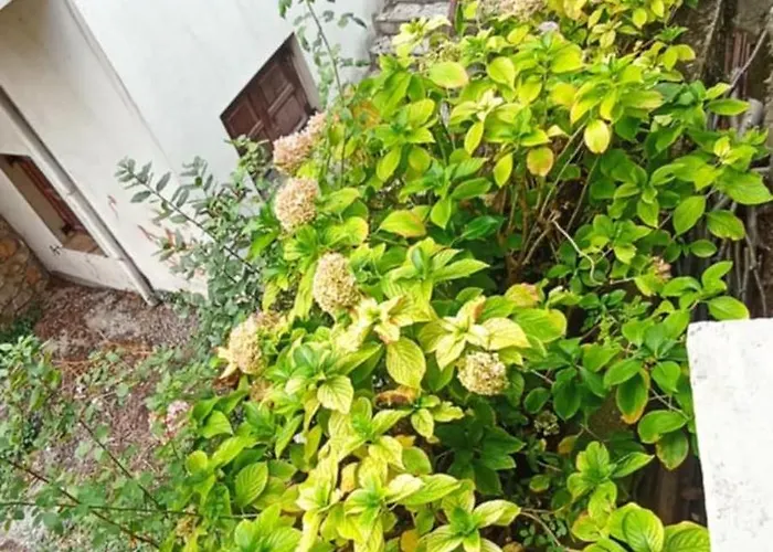 Lejlighed ορεινος παραδεισος