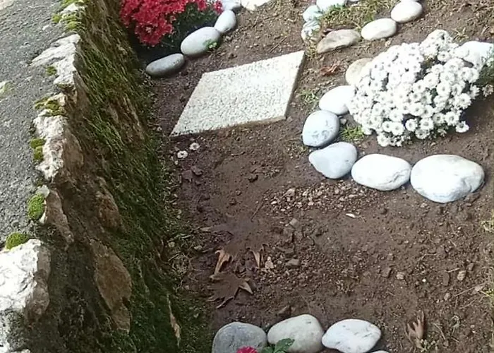 Lejlighed ορεινος παραδεισος *